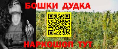 СК Рыбинск