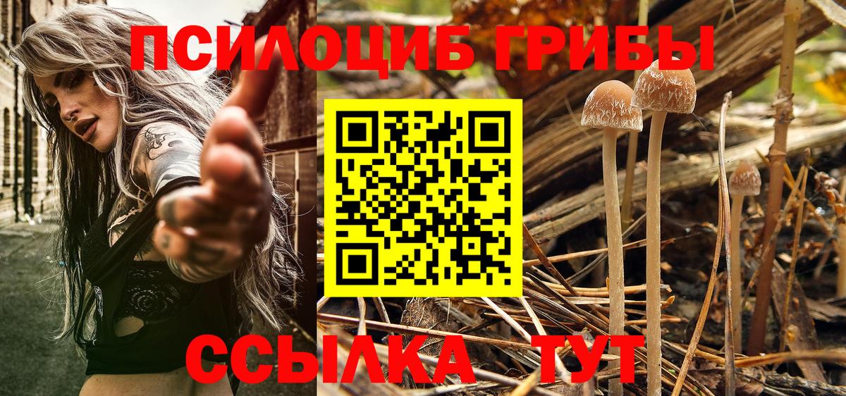 Галлюциногенные грибы ЛСД  Вход с VPN  Оренбург 